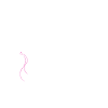 Fairies Shirt