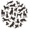 Different of dogs