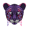 Cheetah nomade global