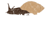 Animal Puns schnitzte es