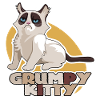 Grumpy Kitty Shirt