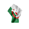 algeria revolution