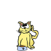 Schrodingers Katzenschale ist Quantum