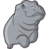 Hippo Hippopotamus Hippopotamus Hippopotamus