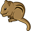 Chipmunk chipmunk rodent gift rodent