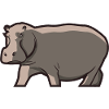 Hippopotamus Hippo Hippo Hippopotamus Gift