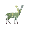 La forêt