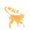 Catwalk - cat