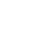 Rough-haired dachshund