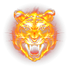BozzWear - Fire Tiger