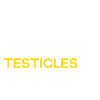 Hold Your Testicles