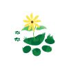 Cats paw print with flower