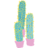 Bunter Kaktus