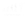 Évolution de Traveler Traveller