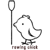 Aviron femmes