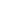 Starfish in white