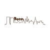 Bonn skyline