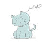 cute cat pet