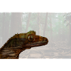 Crested Gecko Calm Forest