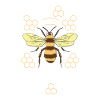 Bee whisperer beekeeper beekeeper gift
