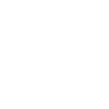 CEO motive