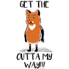 Fox foxes funny saying gift