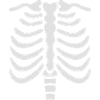 Bones Halloween