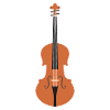Violin playing musical instrument String instrument