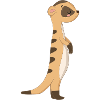 Suricate Manguste