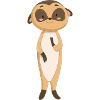 Chat de mer suricate