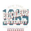 bricoleur diplomé