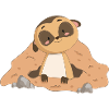 Suricate Mangust