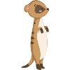 Meerkatze Erdmännchen