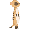 Süßes Erdmännchen