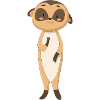 Cool meerkat