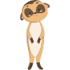 Suricate Meerkat