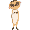 Suricates suricates