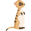 Suricate Chat de mer