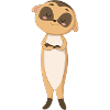 Suricate Doux