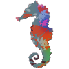 Seepferdchen