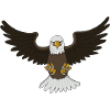 Attack Bald Eagle