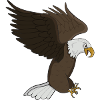 bald eagle