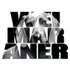 Weimaraner