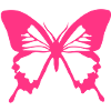 butterfly butterfly schmetterling18 Marip