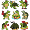 Funny Cool Turtles Water Turtle