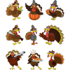Thanksgiving turkey turkey thanksgiving
