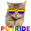 PURRIDE LGBTQ LGBT Gay Lesbian Pride Flag Cats