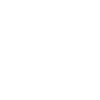 schnauzer