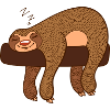 sloth