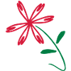 cosmos_flower_2